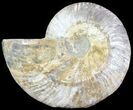Silver Iridescent Ammonite - Madagascar #61510-1